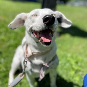 Fundraising Page: Whitey PAC Alum